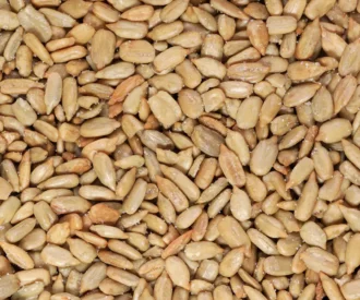 مغز تخمه آفتابگردان نمکی