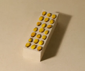 تخمه هندوانه شور (محبوبی)