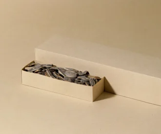 تخمه آفتابگردان شور