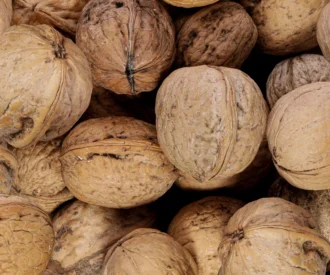 گردو خارجی با پوست