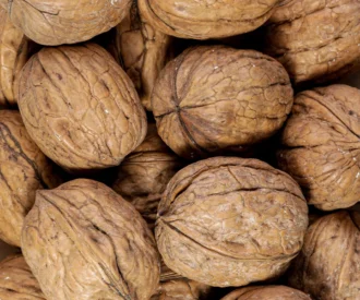 گردو ایرانی با پوست