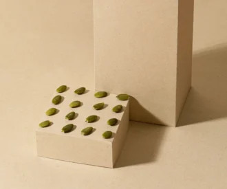 مغز تخمه کدو شور