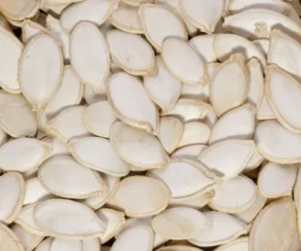 تخمه کدو مرمری خام