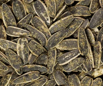 تخمه آفتابگردان گلپر