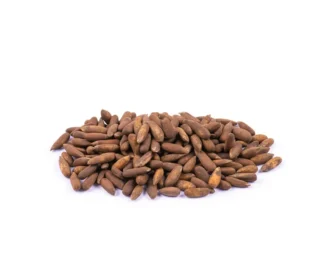 خرید چلغوز با پوست از ناتژی