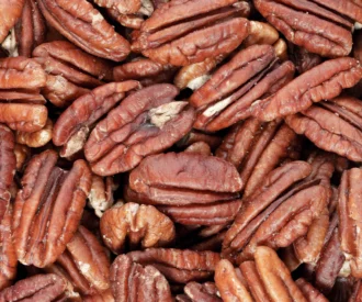 گردو پکان ناتژی