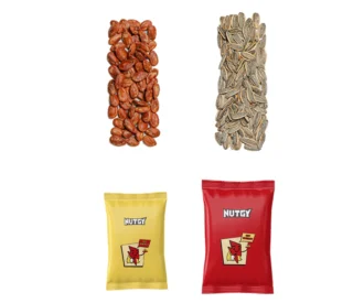 پک تخمه شب نشینی