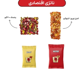 پک اقتصادی ناتژی