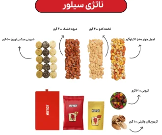 پک سازمانی نقره ای