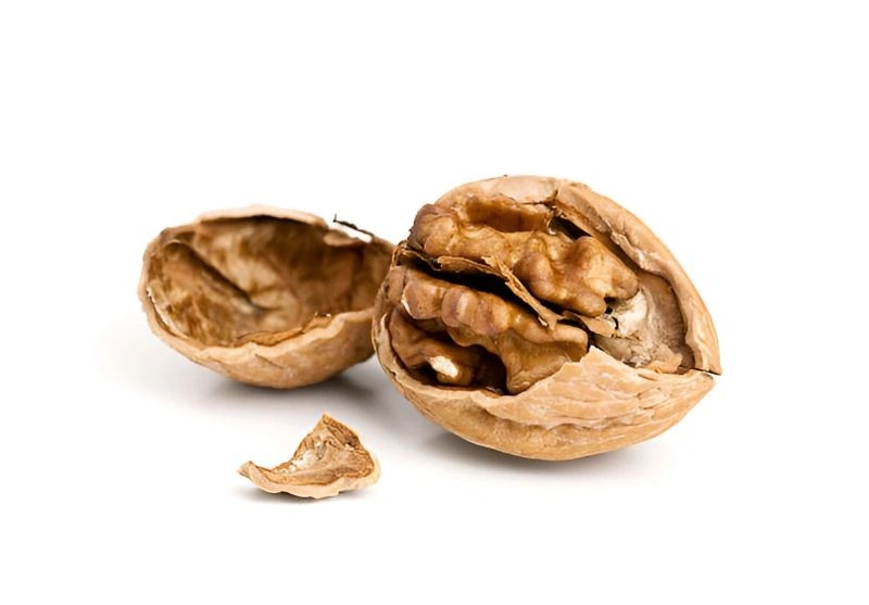 گردو