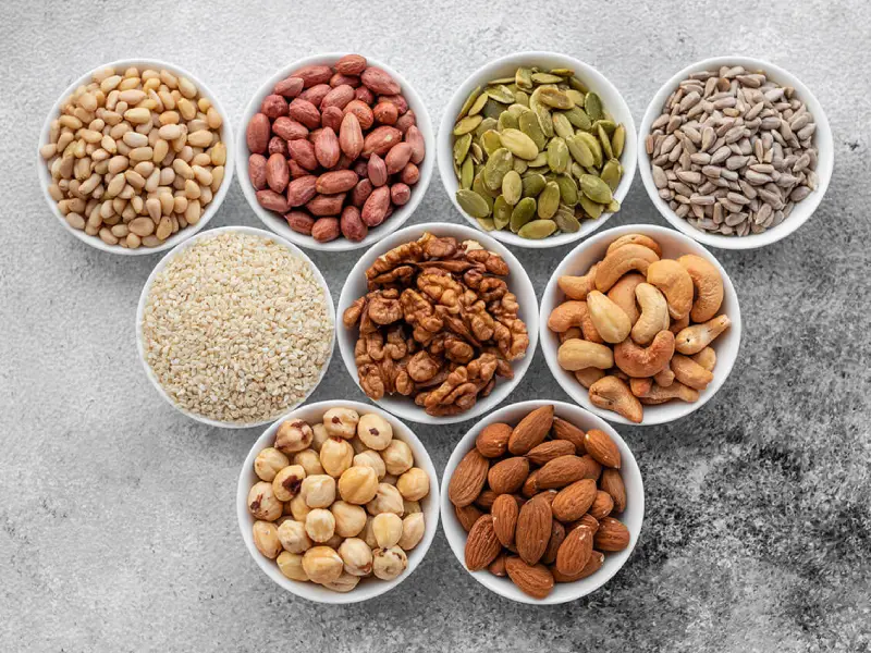 پروتئین آجیل