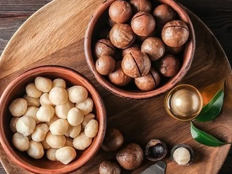 پروتئین ماکادمیا